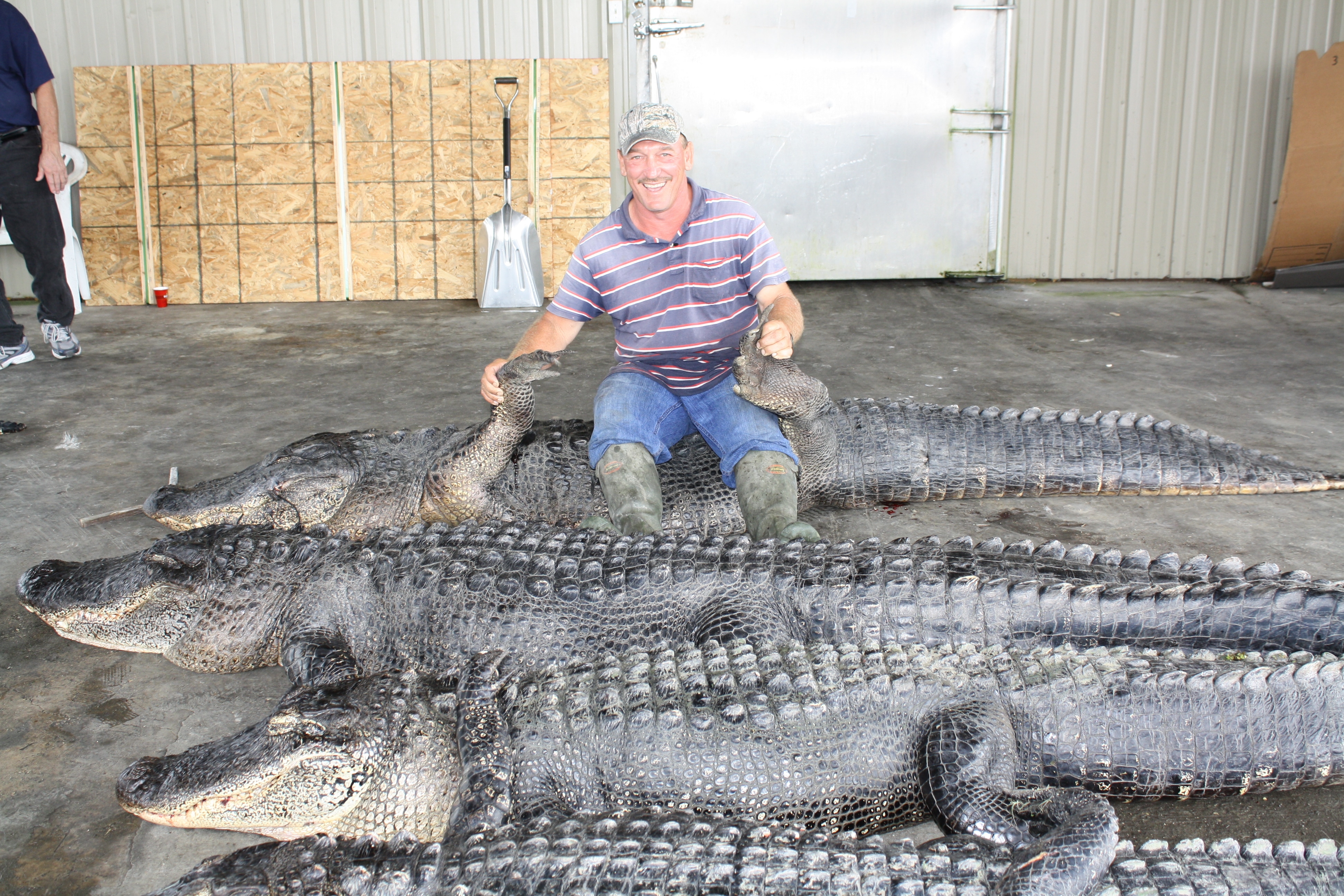 swamp people death