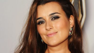 Is Cote de Pablo married? What is she doing now? Wiki, Net Worth, Age, Family, Affair with Michael Weatherly