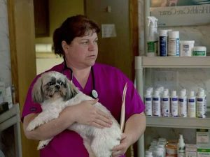 What Happened to Dr. Brenda on “The Incredible Dr. Pol”? Is She Married