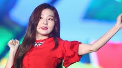 Seulgi (Red Velvet) Wiki Bio, age, height, eyes, plastic surgery, net worth