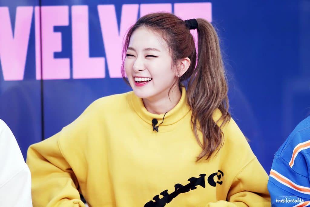 Seulgi (Red Velvet) Wiki Bio, age, height, eyes, plastic ...