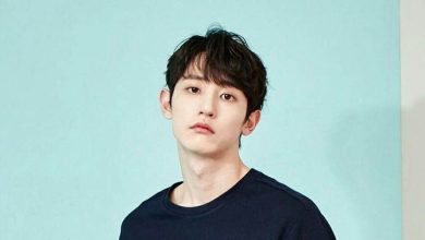 Everything You Need to Know About Lee Soo-hyuk – Wiki