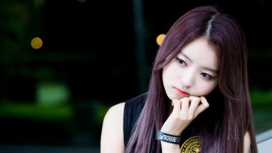 The Untold Truth of ‘Pristin V’ Member – Lim Na-young