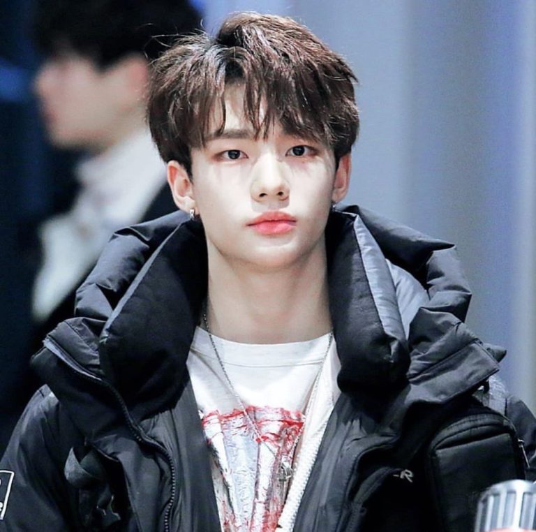 The Untold Truth of Stray Kids Member – Hyunjin