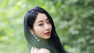 The Untold Truth of Nine Muses Member – Kyungri