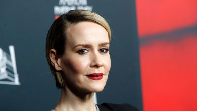 Who has Sarah Paulson dated? Girlfriends List, Dating History