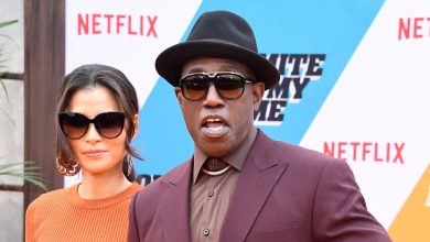 Wesley Snipes' Wife Nakyung Park Wiki: Children, Net Worth, Age