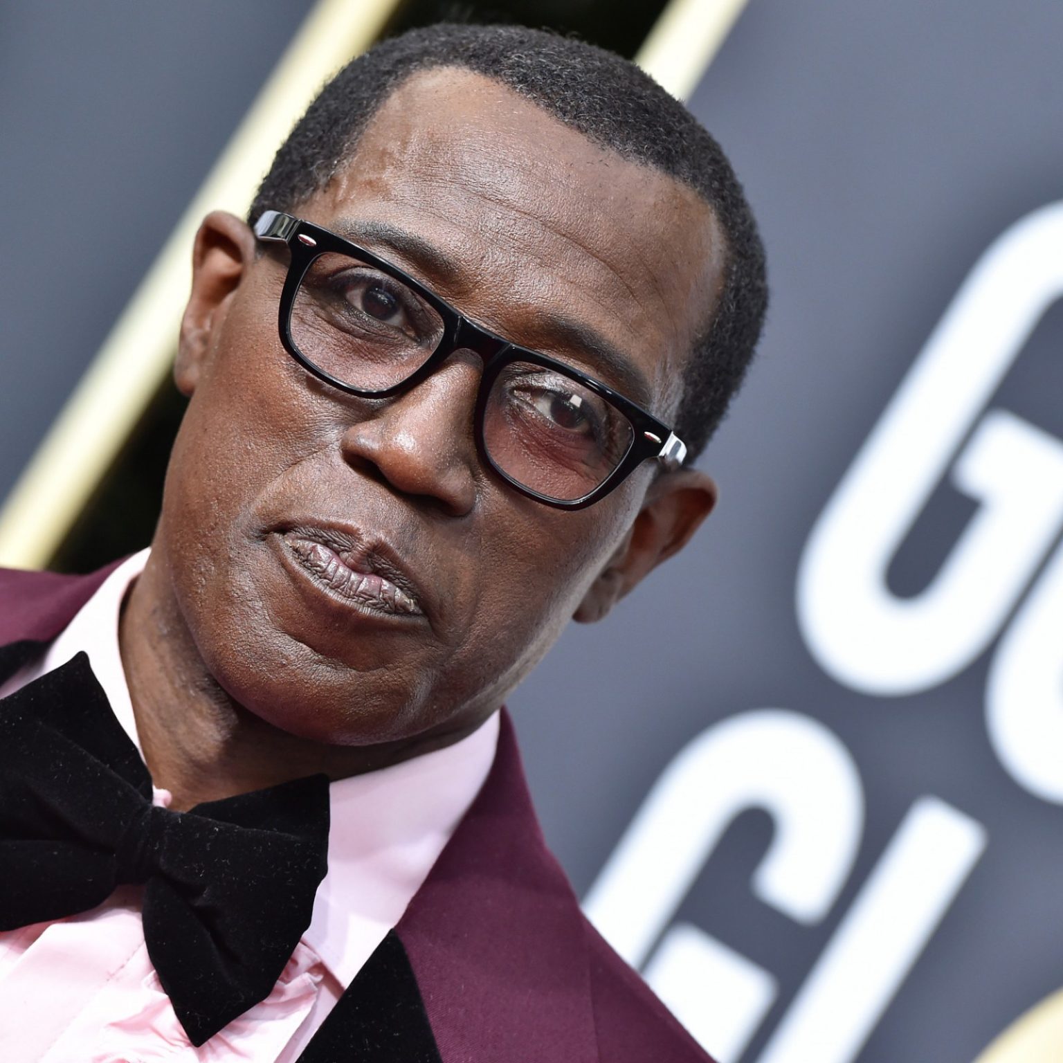 Wesley Snipes Net Worth 87 - u8kuksf